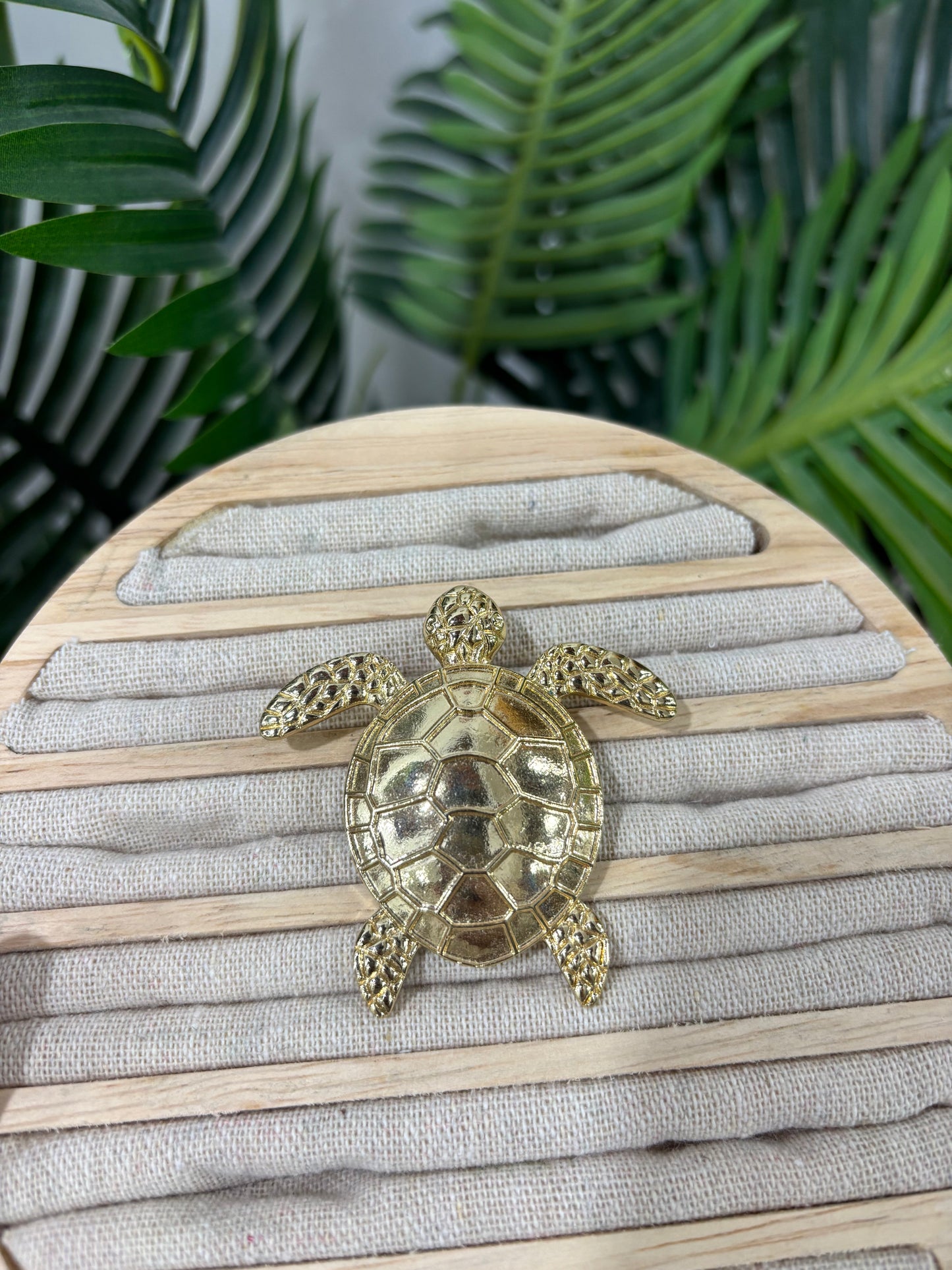 Broche tortuga